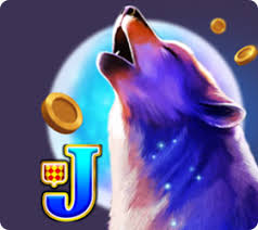 Establecimiento de juego Coolzino - Análisis